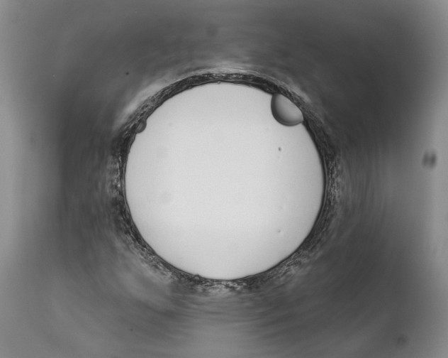 X0000111891255200908201313