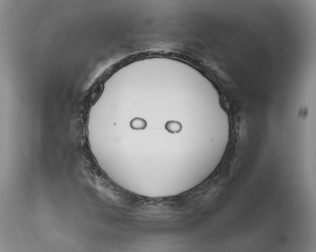 X0000111891256200908201313