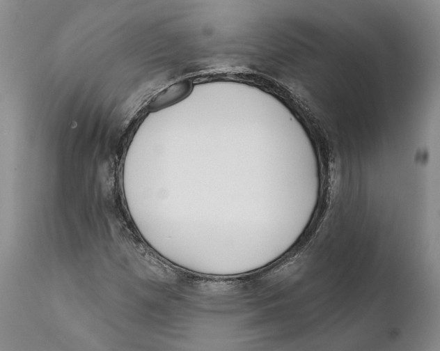 X0000111891257200908201313