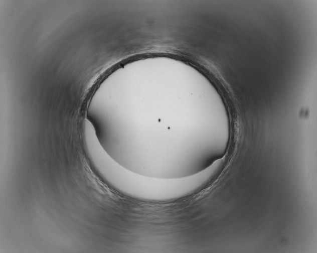 X0000111891260200908201313