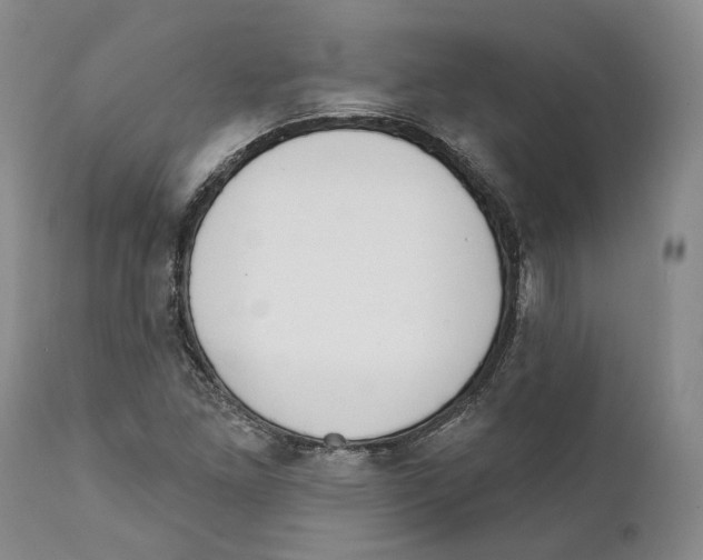 X0000111891261200908201313