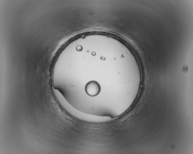 X0000111891264200908201312