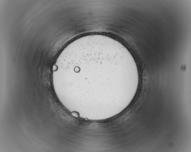 X0000111891265200908201312