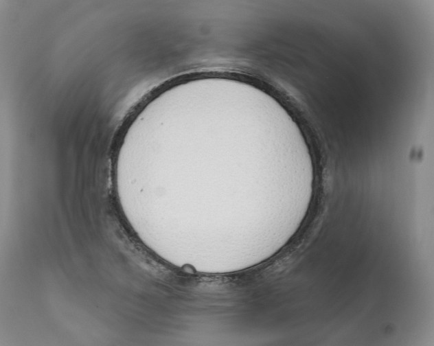 X0000111891267200908201312