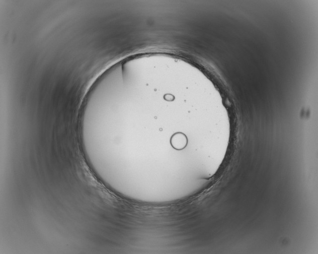 X0000111891268200908201312