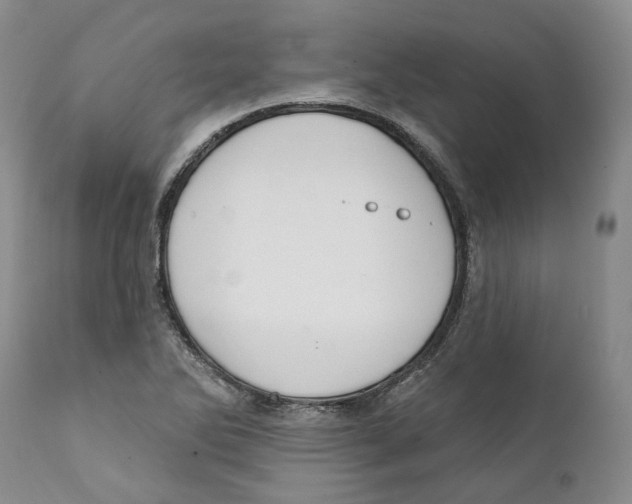 X0000111891270200908201312