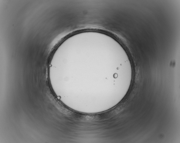 X0000111891271200908201312