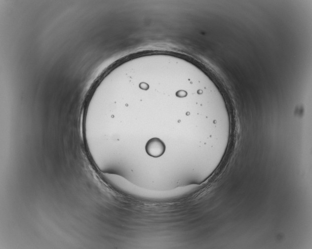 X0000111891272200908201312