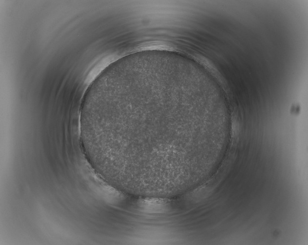 X0000111891274200908201312