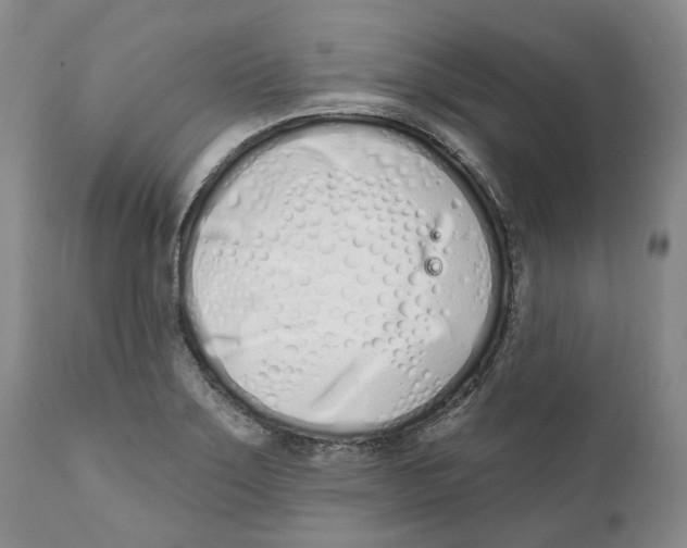 X0000111891275200908201312