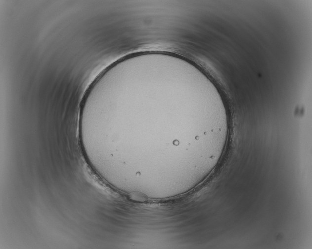 X0000111891276200908201312