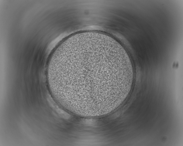 X0000111891278200908201312