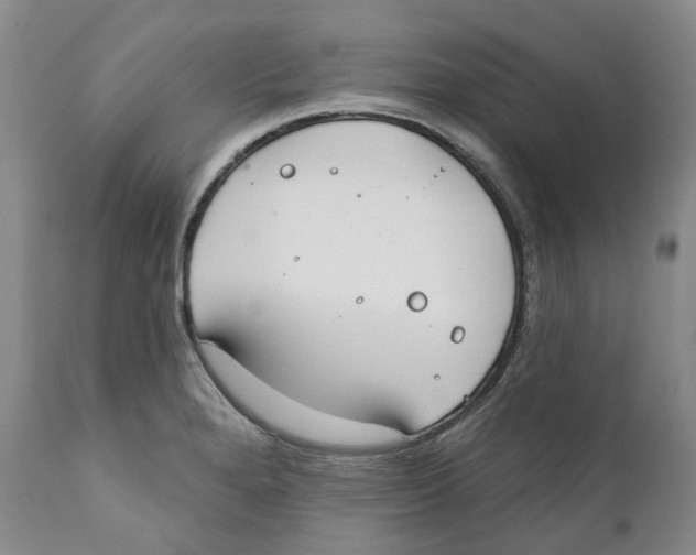 X0000111891280200908201312