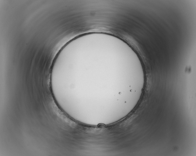 X0000111891284200908201312