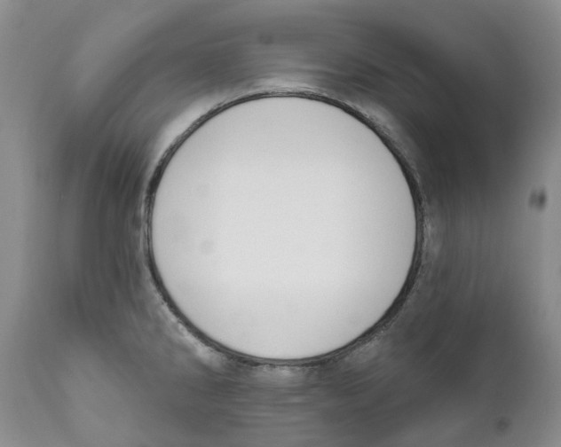 X0000111891286200908201312