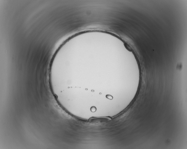 X0000111891288200908201312