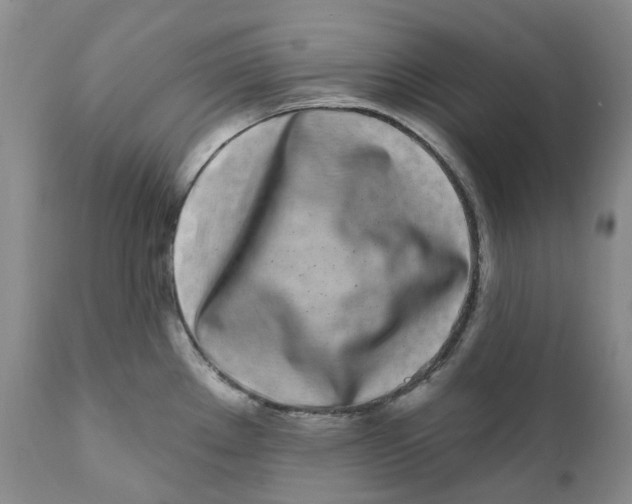 X0000111891289200908201312