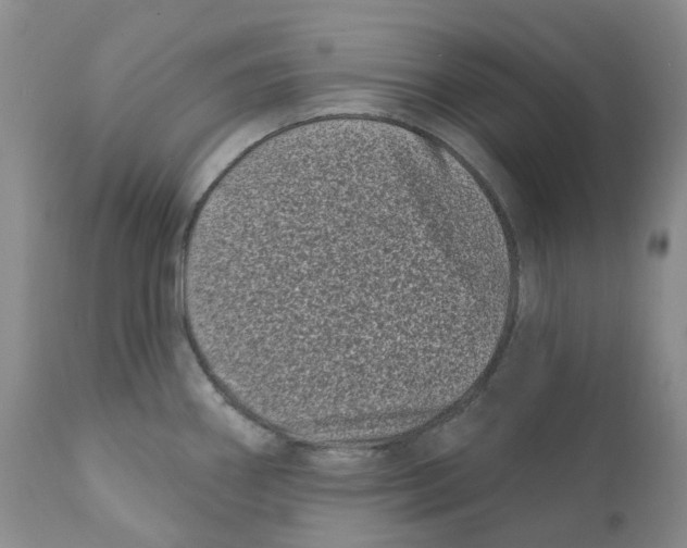 X0000111891290200908201312