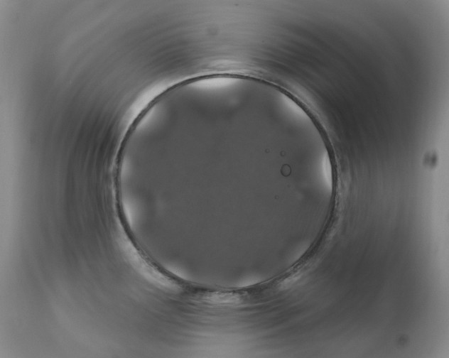 X0000111891291200908201312