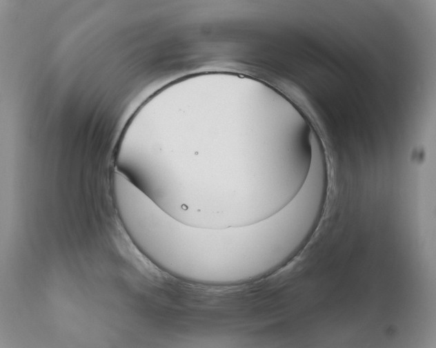 X0000111891292200908201312