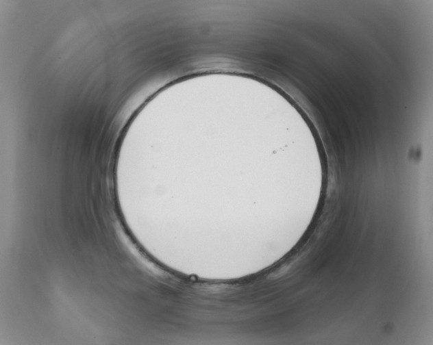 X0000111891293200908201312