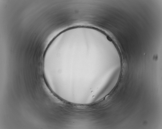 X0000111891295200908201312