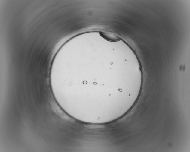 X0000111891296200908201312