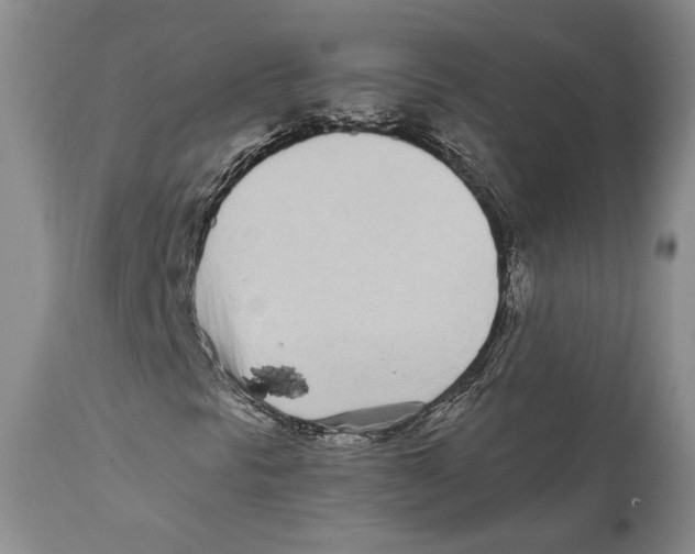 X0000111891297200908201311