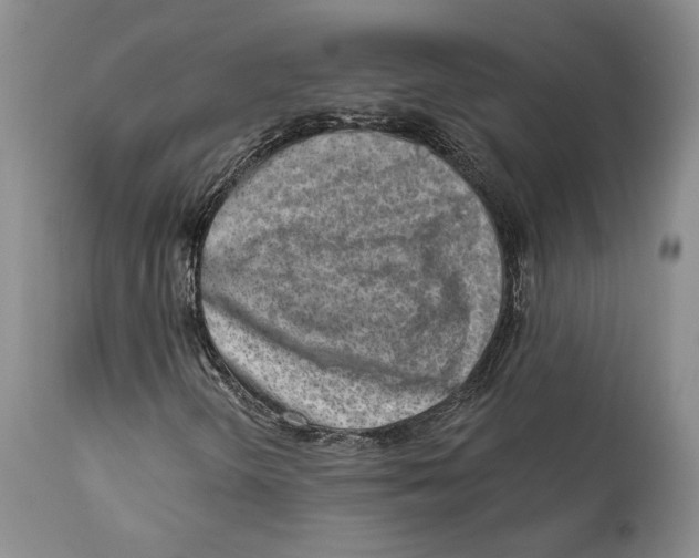 X0000111891298200908201311