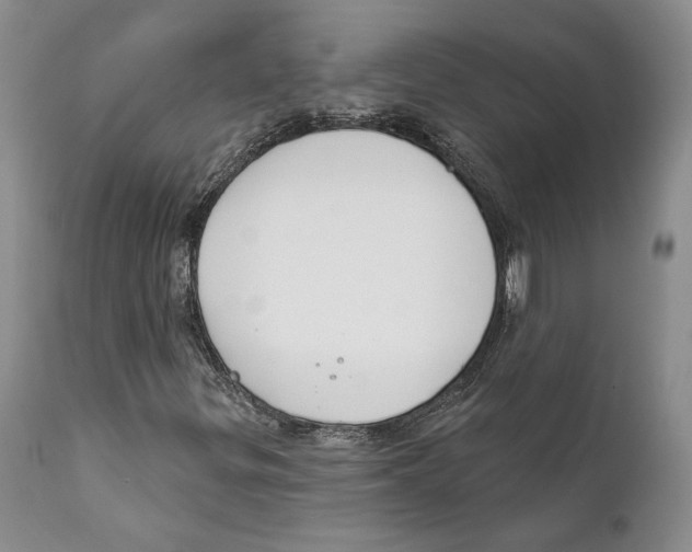 X0000111891299200908201311