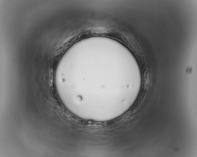 X0000111891301200908201311