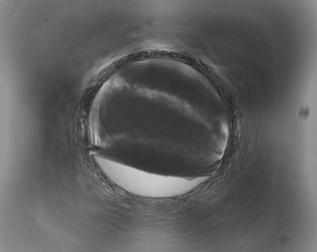 X0000111891303200908201311