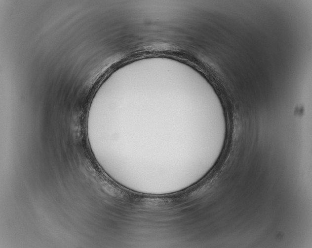 X0000111891305200908201311