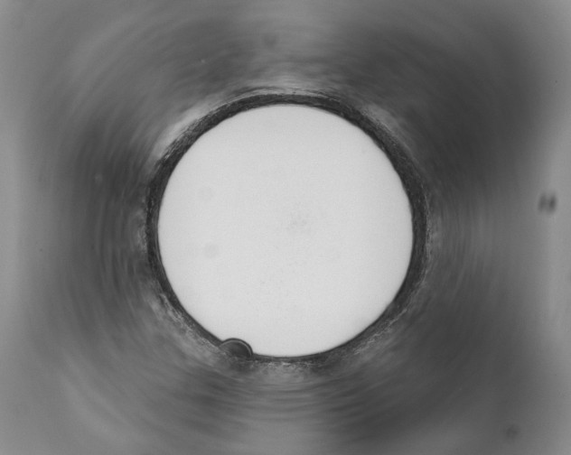 X0000111891307200908201311