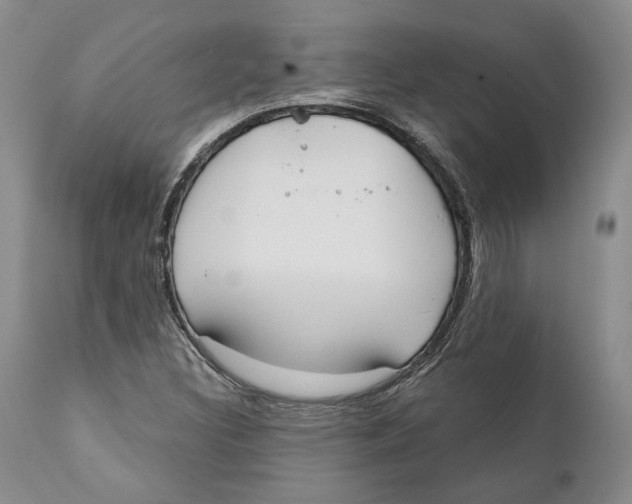 X0000111891308200908201311