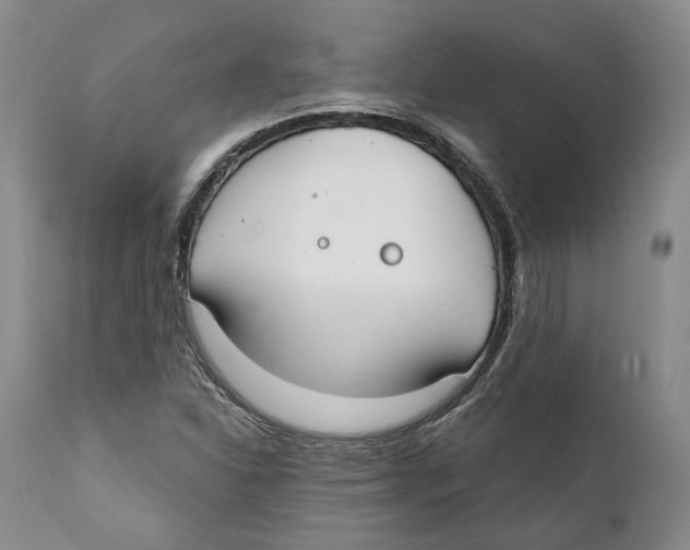 X0000111891310200908201311