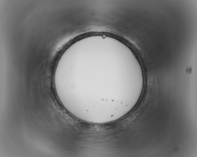 X0000111891311200908201311