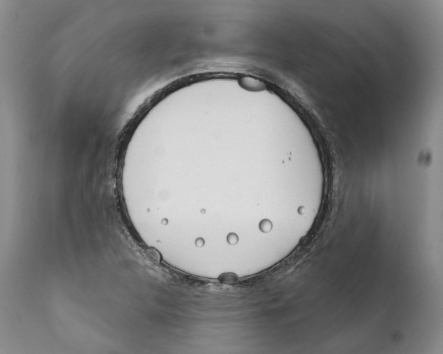 X0000111891312200908201311