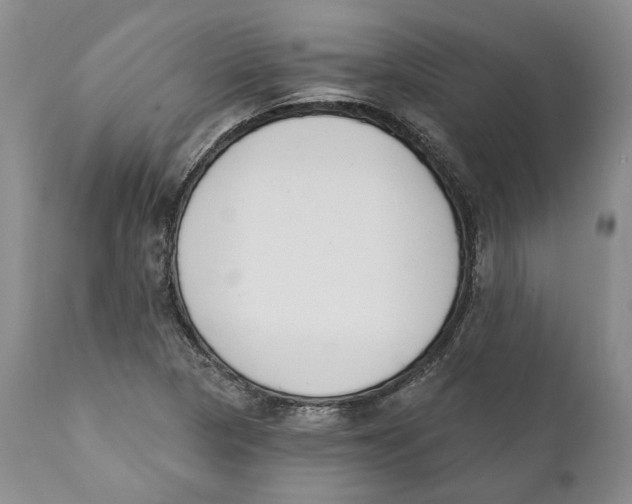 X0000111891313200908201311