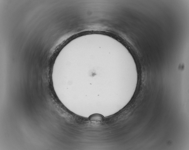 X0000111891315200908201311