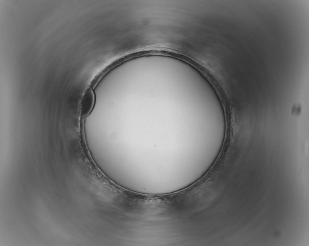 X0000111891316200908201311