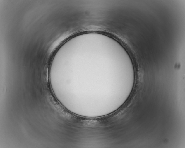 X0000111891317200908201311