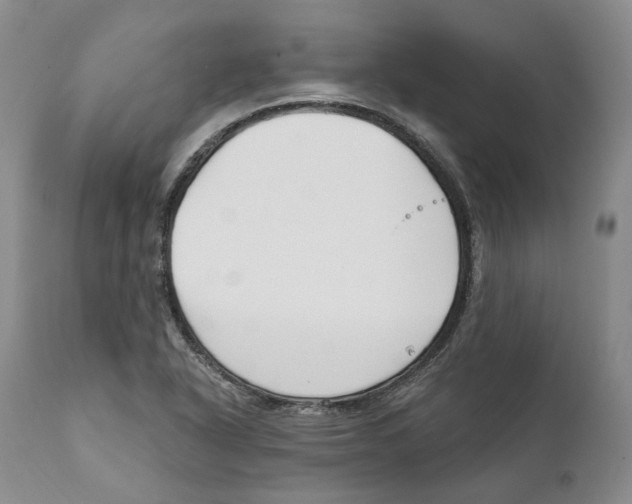 X0000111891318200908201311