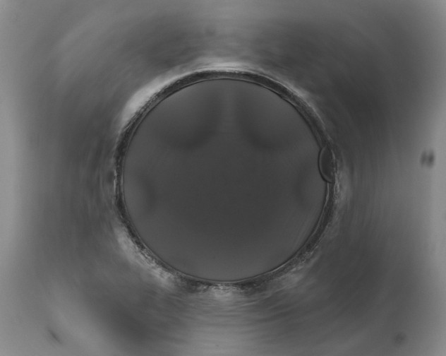 X0000111891319200908201311