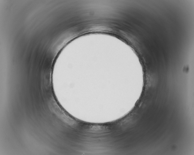 X0000111891322200908201311