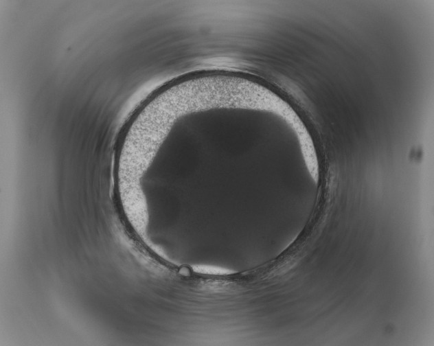 X0000111891323200908201311