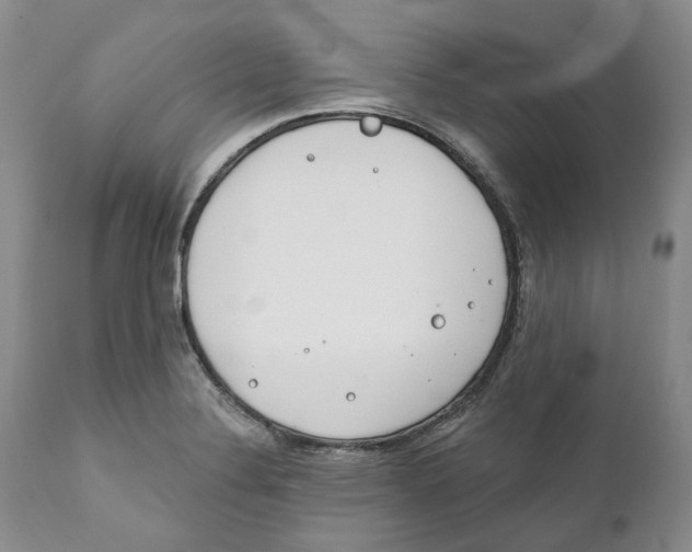 X0000111891324200908201311