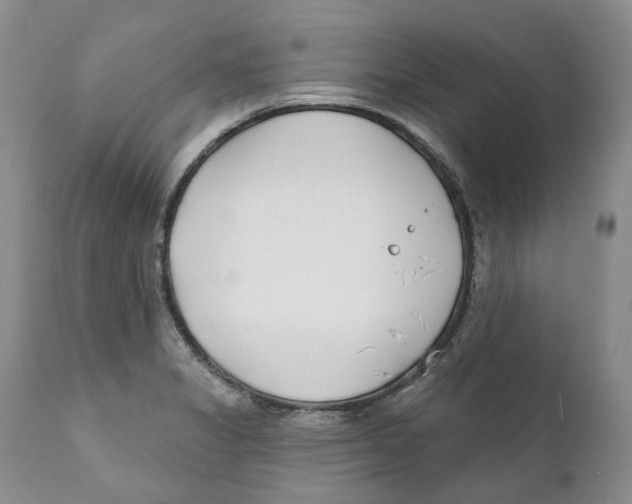 X0000111891325200908201312