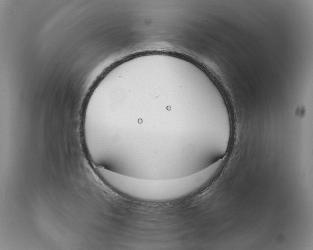 X0000111891326200908201312