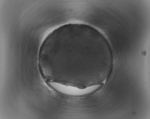 X0000111891327200908201312